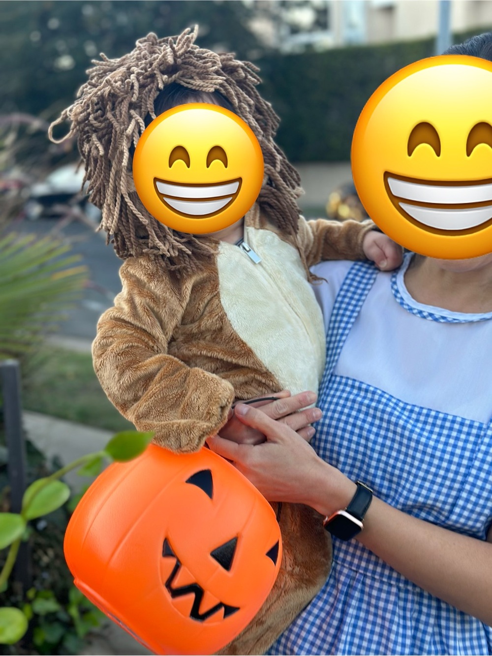 Baby Plush Brown Lion Hooded Costume 9-12 months